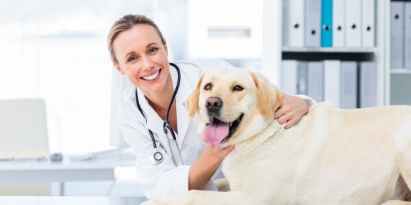 pet-hospital-services